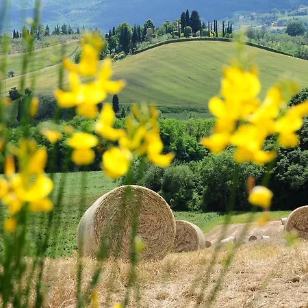 Palazzo Con Piscina E Ac - ヴィラ チェトーナ